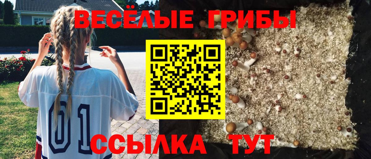 Псилоцибиновые грибы мухоморы  Вход с VPN  Лесной 