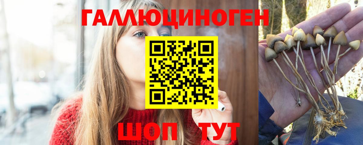 Галлюциногенные грибы мицелий Лесной